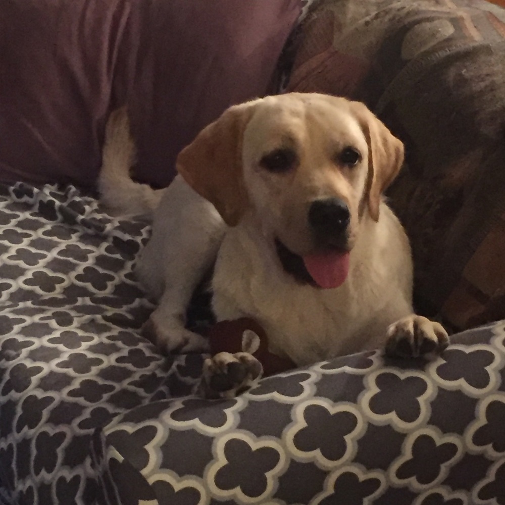 Meet your Posher, Michaela